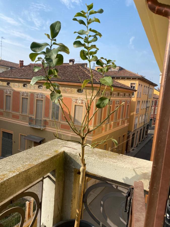 Loft Manzoni 37 Leilighet Cremona Eksteriør bilde